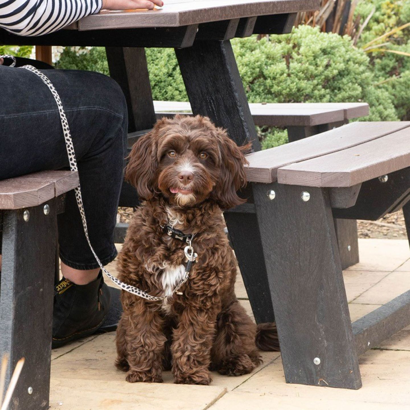 Your local dog friendly pub in Wednesbury